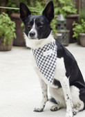 Burda Style Sewing Patterns BUR5702 | Burda Style Sewing Pattern 5702 Pet Accessories