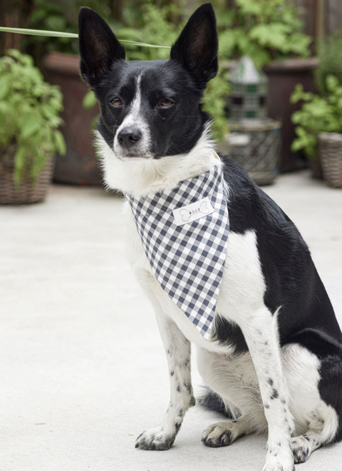 Burda Style Sewing Patterns BUR5702 | Burda Style Sewing Pattern 5702 Pet Accessories