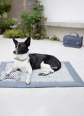 Burda Style Sewing Patterns BUR5702 | Burda Style Sewing Pattern 5702 Pet Accessories
