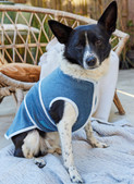 Burda Style Sewing Patterns BUR5702 | Burda Style Sewing Pattern 5702 Pet Accessories