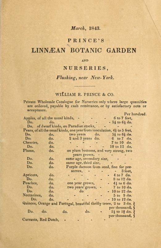 Page from an 1843 Prince’s Nursery wholesale catalog.