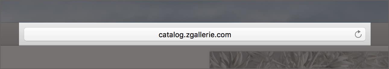 Z Gallerie custom domain.