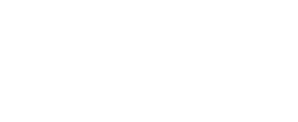 Burda Style Sewing Pattern Logo