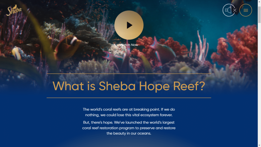 Image shows picture of coral reef and written explanation of what is Sheba Hope Reef